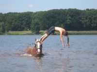 7- daagse vakantie bij Bergemo met Paard & Beleving!