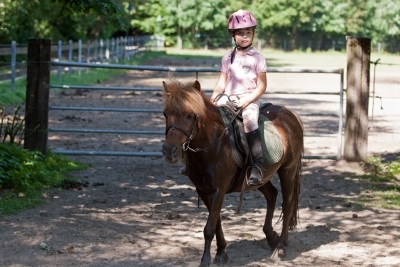 ponyrijden -verkleind