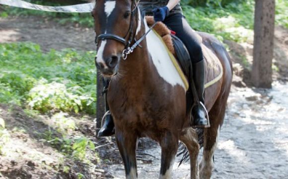 rijden in bak 2 - verkleind