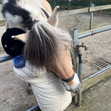 Jeroen & kind PW knuffel