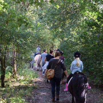 ponyritje groep